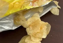 Offshore betting tips for Canadian players