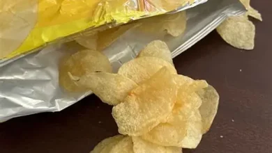 Offshore betting tips for Canadian players